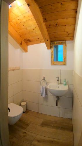 a bathroom with a toilet and a sink at Exclusiv - Ferienwohnung Hinterreiter in Ainring