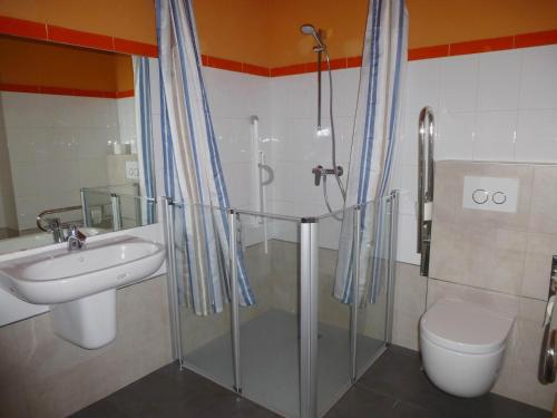 a bathroom with a shower and a sink and a toilet at Albergue Ambiental de Beizama in Beizama