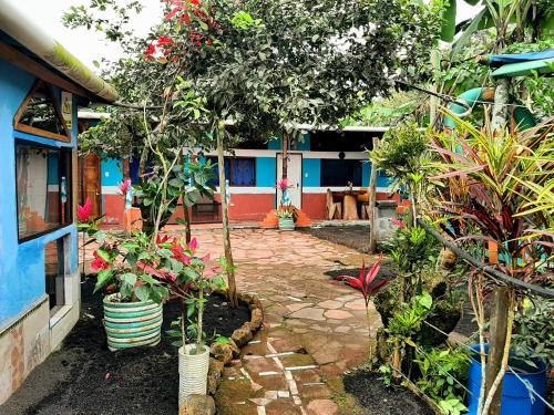 a garden with trees and plants in front of a house at Alojamiento Sumak Kawsay in Puerto Ayora