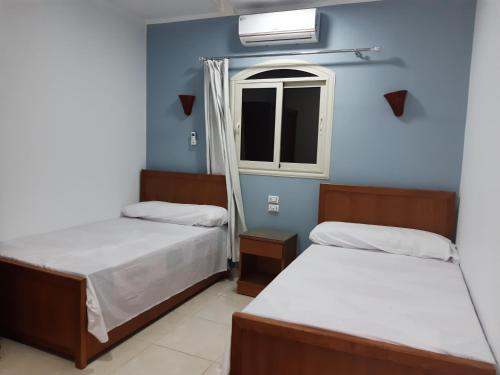 two beds in a room with blue walls and a window at German Dolphin in Quseir