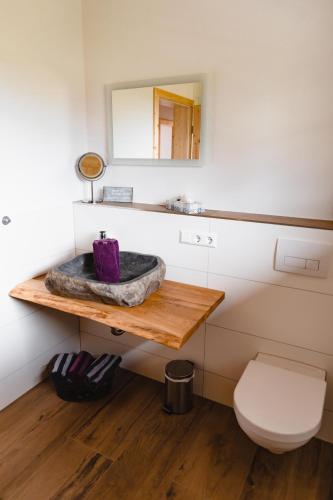 a bathroom with a sink and a toilet at Holzerhof-Ferienwohnungen in Gengenbach