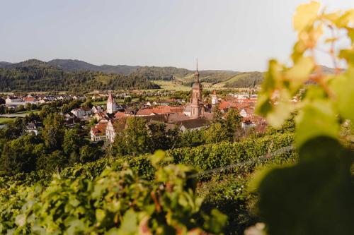 a view of a town from a vineyard at Holzerhof-Ferienwohnungen in Gengenbach