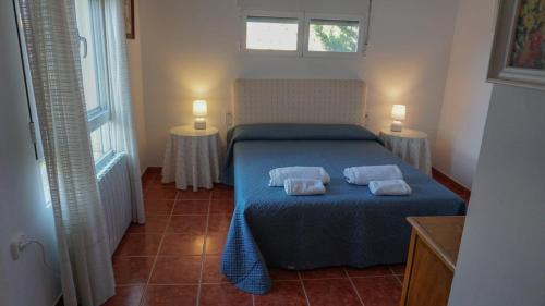 een slaapkamer met een blauw bed met 2 kussens erop bij Casa Altavista en Ruidera in Ruidera