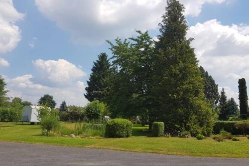 a large pine tree in a park with a house at Ferienwohnung Am Wasserturm mit kleinem Bauernhof in Baruth