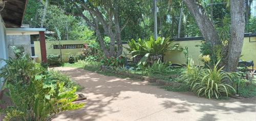 a garden with plants and trees and a sidewalk at Water Front Home Stay and Resort in Anuradhapura