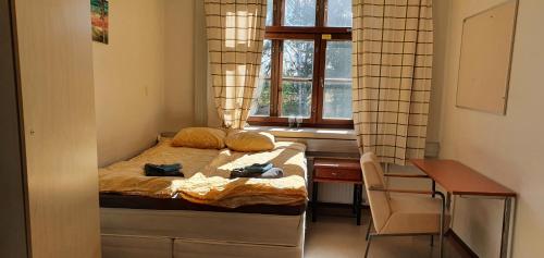 um quarto com uma cama, uma secretária e uma janela em Ainola em Hämeenlinna