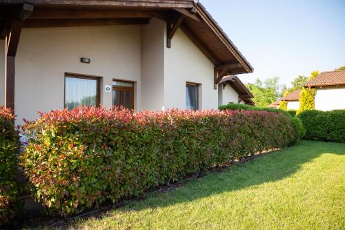 Pandora Zsóry Apartmanok Mezőkövesd 3400 Mezőkövesd, Zsóry-fürdő 7171/1 hrsz. kép - 3
