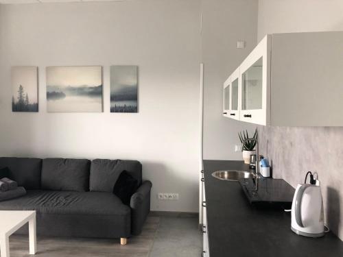 a living room with a couch and a table at Apartamenty Na wzgórzu in Ińsko