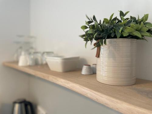 a plant in a pot sitting on a shelf at Weberhof - Münster 5 in Münster