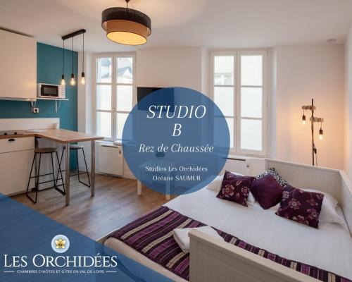Studios Les Orchidées Océane Saumur – Photos 3