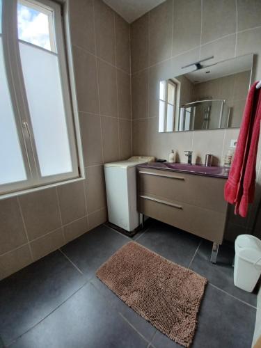 a bathroom with a sink and a mirror at Les Palerées, petite maison au coeur de la Sologne des Etangs in Saint-Viâtre