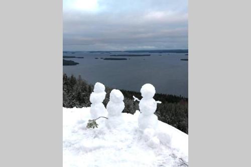 a group of snowmen sitting on top of a pile of snow at Kolin Pikkukolo - Saunallinen studiohuoneisto in Kolinkylä