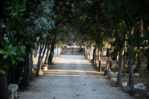 a tree lined path with a gate in the distance at Petra - Country House in Monteroni di Lecce