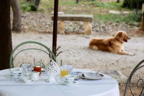 a table with a dog sitting next to a table with a dog at Petra - Country House in Monteroni di Lecce