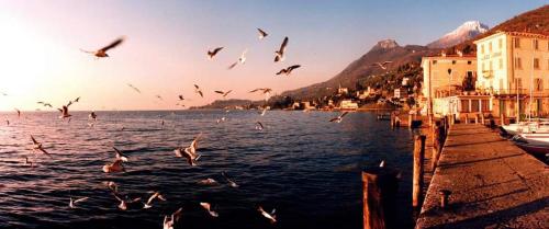 a flock of birds flying over a body of water at Hotel Garnì Bartabel in Gargnano