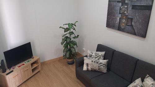 a living room with a couch and a plant at Just Like Home in Ponta Delgada