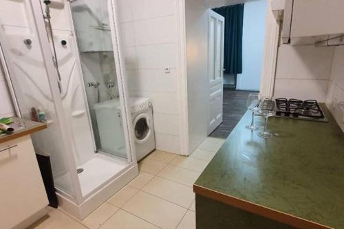 une cuisine équipée d'un lave-linge et d'un lave-linge/sèche-linge. dans l'établissement Appartement Belvedere Wien, à Vienne