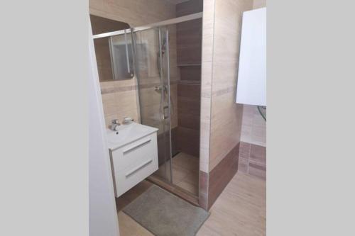 W łazience znajduje się prysznic i umywalka. w obiekcie Domek Verunka v malebné vesničce na Jižní Moravě w mieście Svatobořice