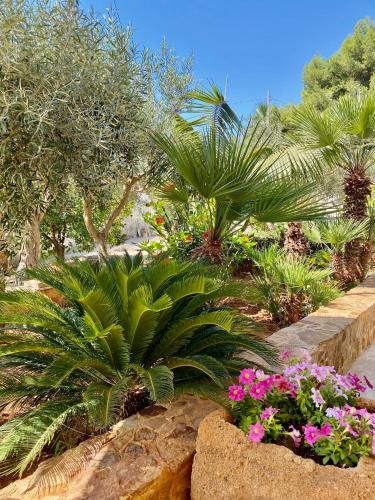 a garden with palm trees and plants and flowers at ACasammare Apartment in Marsala