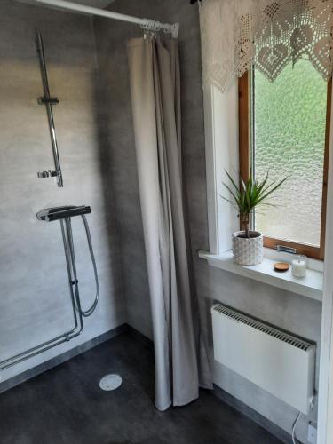 a bathroom with a shower curtain and a window at Villa Gebbie in Vessigebro