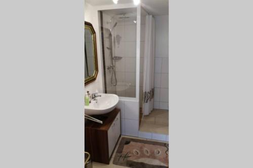 a bathroom with a sink and a shower at Ruhige Ferienwohnung inkl. Garten im Unterallgäu in Lachen