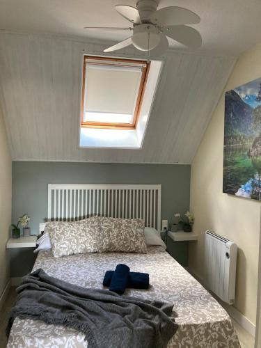 a bedroom with a bed with a ceiling fan at Apartamento Alba in Jaca