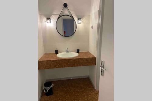 une salle de bain avec un lavabo et un miroir dans l'établissement Appartement chaleureux au cœur d un village classé, à Villebois-Lavalette