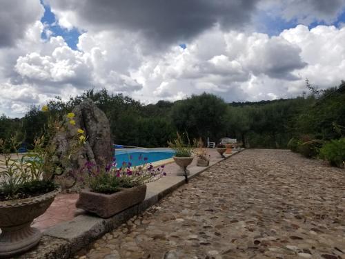 uma fila de vasos de plantas junto a uma piscina em B&B Casa Vacanza Centro Sardegna em Sorgono