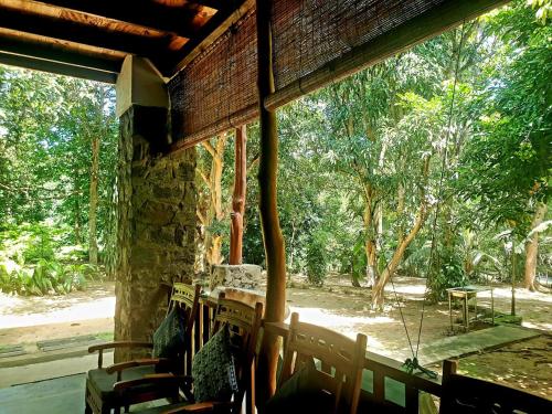 Taman di luar Jungle House
