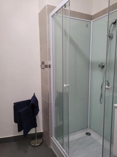une douche avec une porte vitrée dans une salle de bain dans l'établissement Appartement Moulinet, à Moulinet