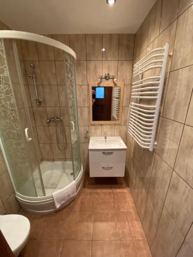y baño con ducha, lavabo y espejo. en Villa Bożena en Szklarska Poręba
