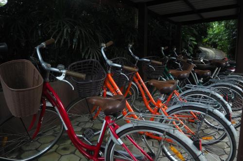 a row of bikes parked next to each other at Baanpong Lodge in San Kamphaeng