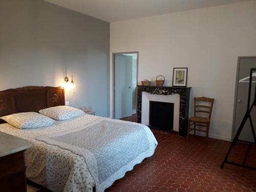een slaapkamer met een bed en een open haard bij MAISON BOURGUES in Lioux