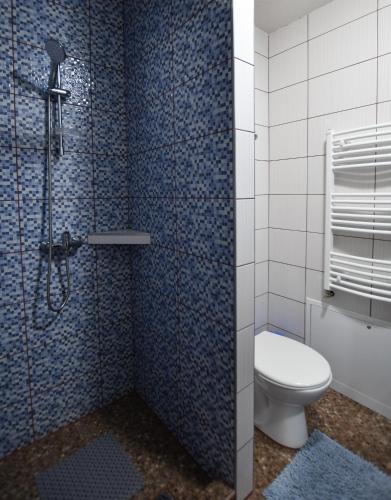a bathroom with a toilet and a shower with blue tiles at Dió vendégház in Praid