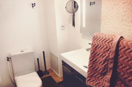 a bathroom with a toilet and a sink and a mirror at Ecolodge Appartements 2 pièces cosy gare in Bordeaux