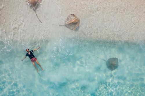 a man standing in the water on the beach at Banyan Tree Vabbinfaru in Male City