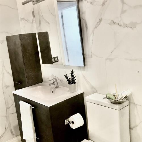 a bathroom with a sink and a mirror and a toilet at EL AGAVE DE MERESE APARTAMENTO in Las Toscas