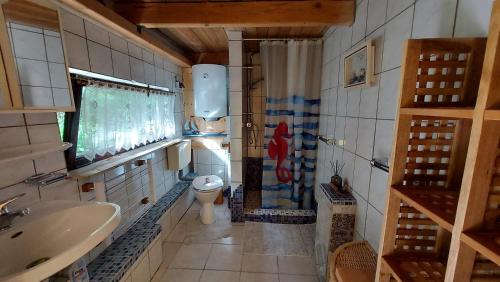 ein kleines Bad mit WC und Waschbecken in der Unterkunft Ferienhaus Julchen Samtens in Samtens