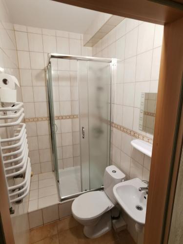 a bathroom with a shower and a toilet and a sink at Zielony Dom in Bolesławiec