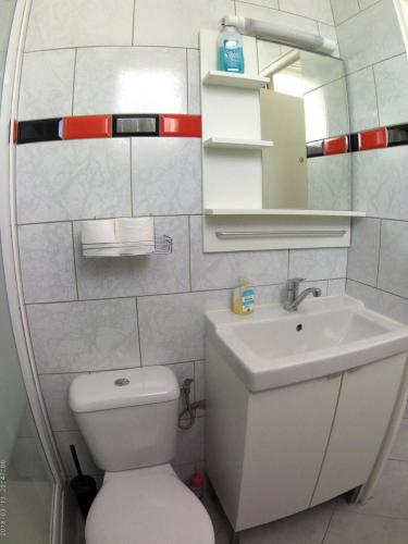 a bathroom with a toilet and a sink and a mirror at Residence Alassa in Montévrain
