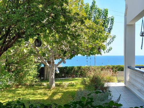 Φυσικό τοπίο κοντά σε αυτή η βίλα