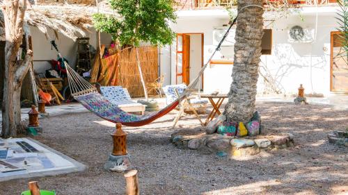 Zahrada ubytování Sunrise Dahab lodge