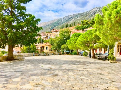 ulica w mieście z drzewami i budynkami w obiekcie Delphi celebrity v i p the navel of the Earth, CENTER-DELPHI-penthouse galaxy&sky panoramic view, harmony&YOGA w mieście Delfy