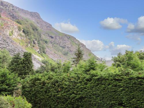 a hillside with trees in front of a mountain at Awel Y Berwyn in Oswestry