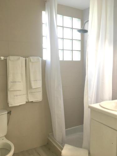 a bathroom with a shower and a toilet and towels at Carambola Résidence, Ocean View in Cul de Sac