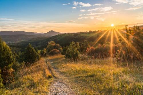 a dirt road in a field with the sun setting at Alb Chalet in Meßstetten