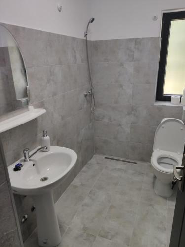a bathroom with a sink and a toilet at Pensiunea Teodora in Moisei