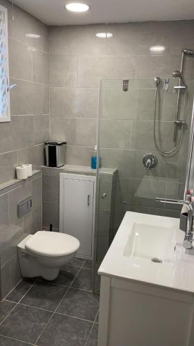 Koupelna v ubytování 2לופית