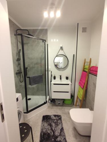 W łazience znajduje się prysznic, toaleta i umywalka. w obiekcie LUX Apartament ODKRYJ - BIESZCZADY w mieście Ustrzyki Dolne
