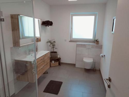 a bathroom with a shower and a sink and a toilet at Urlaub mitten in Markelsheim in Bad Mergentheim